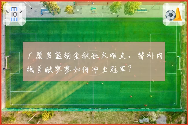 广厦男篮胡金秋独木难支，替补内线贡献寥寥如何冲击冠军？