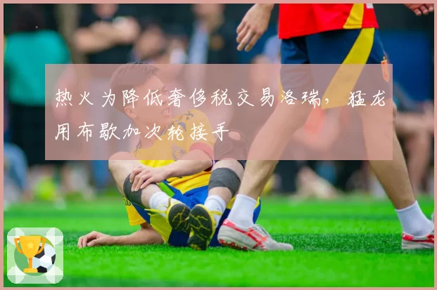 热火为降低奢侈税交易洛瑞，猛龙用布歇加次轮接手